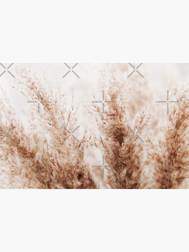 "Pampas Grass Wall PrintsPrintable Wall Art " Sticker for Sale by