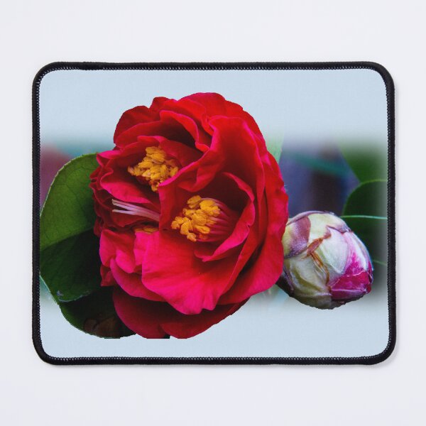 Item preview, Red camellia  designed and sold by indiafrankk.