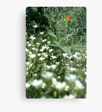 Paintbrush Metal Print