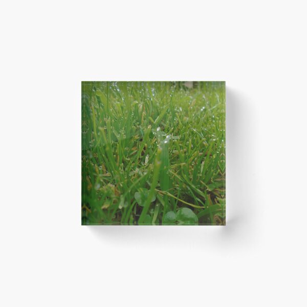Item preview, dew on grass designed and sold by Karen Chard.