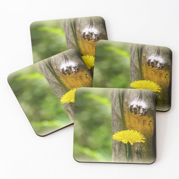 Item preview, Dandelion designed and sold by indiafrankk.