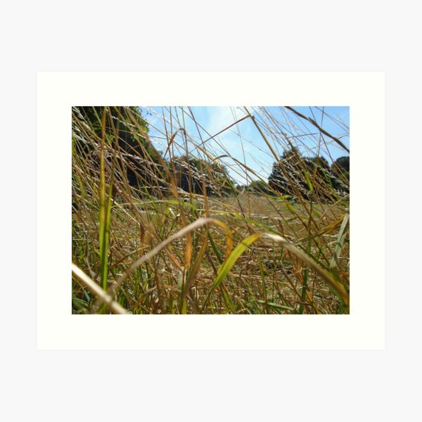 Item preview, Summer Grass  designed and sold by Karen Chard.