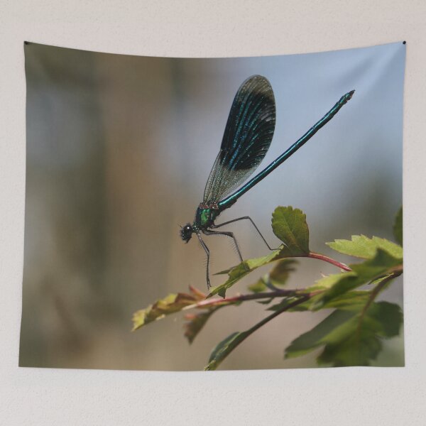 Item preview, Banded demoiselle designed and sold by cuprum.