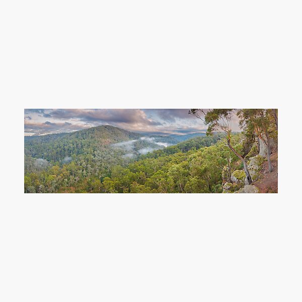 Photographic Print