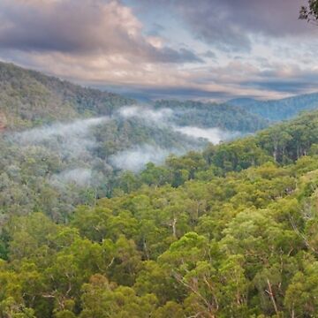 Artwork thumbnail, Petersons Lookout, Tyers Gorge, Traralgon, Gippsland, Victoria, Australia by Michael Boniwell