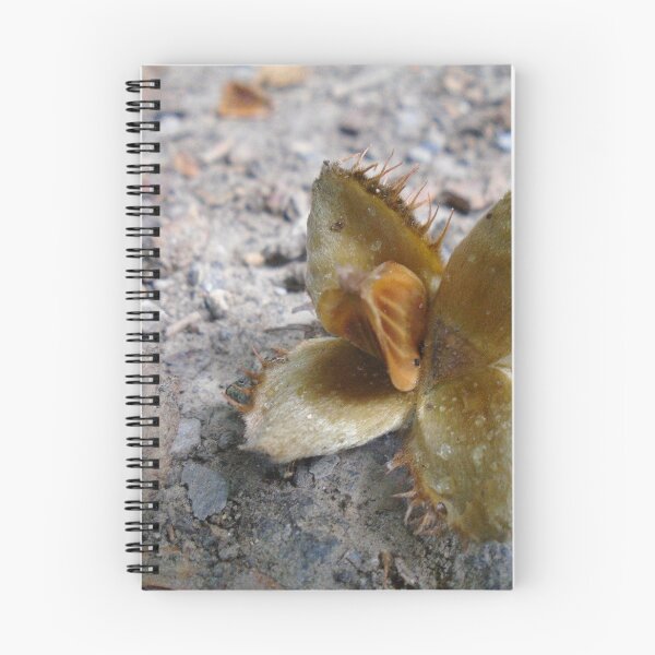 Item preview, beech mast designed and sold by Karen Chard.