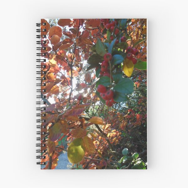 Item preview, Autumn Hedgerow en Glastonbury designed and sold by Karen Chard.