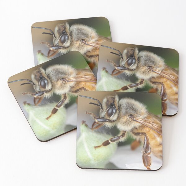 Item preview, Honey bee designed and sold by SDym Photography.