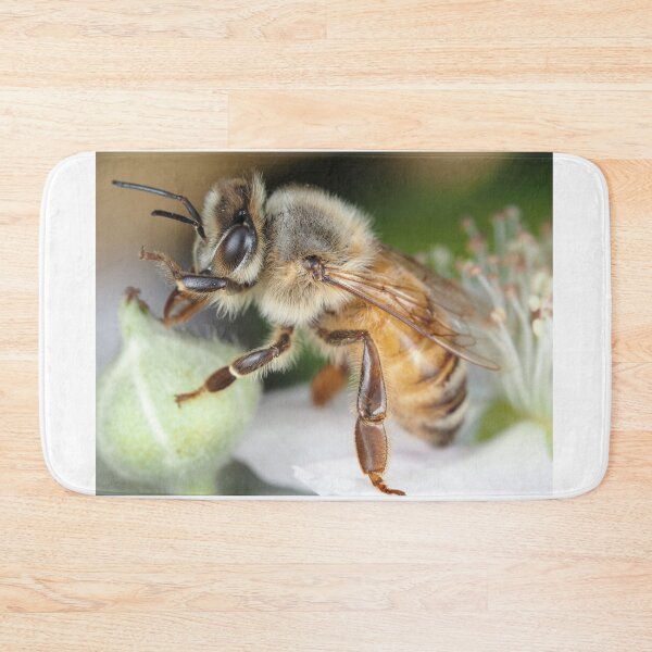 Item preview, Honey bee designed and sold by SDym Photography.