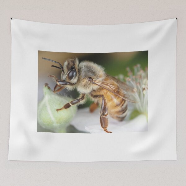 Item preview, Honey bee designed and sold by SDym Photography.