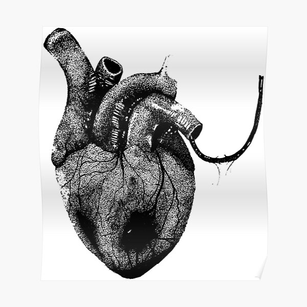 Biology Human Heart Vector  Photo Free Trial  Bigstock