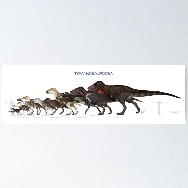 Item preview, Tyrannosauroid Dinosaurs Size designed and sold by SerpenIllus.