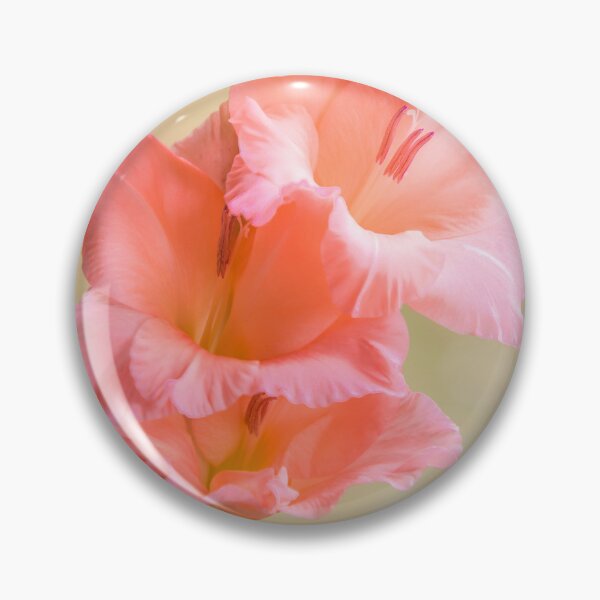 Item preview, Gladioli designed and sold by JEZ22.