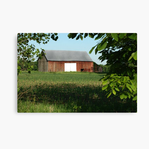 The Barn Canvas Print