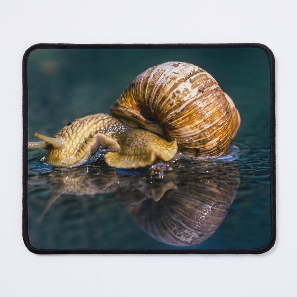 Item preview, Snail designed and sold by Ingo Gerlach.
