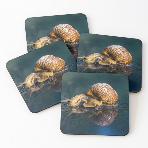 Item preview, Snail designed and sold by Ingo Gerlach.