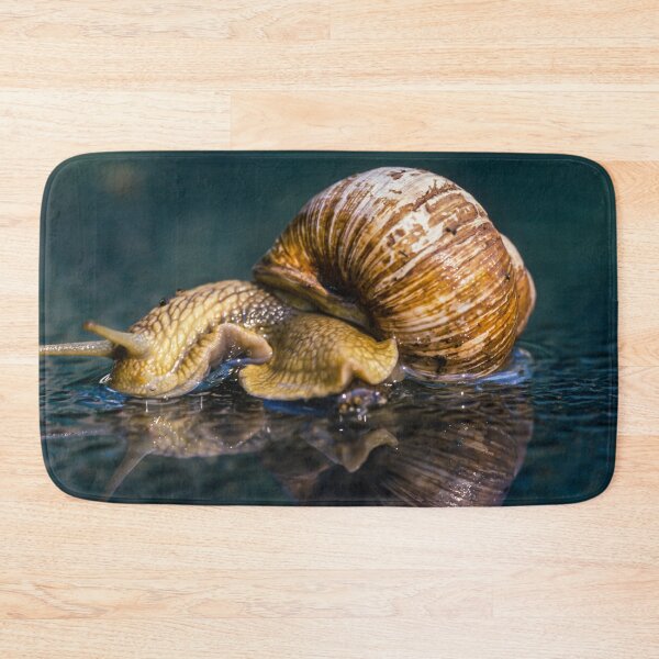 Item preview, Snail designed and sold by Ingo Gerlach.