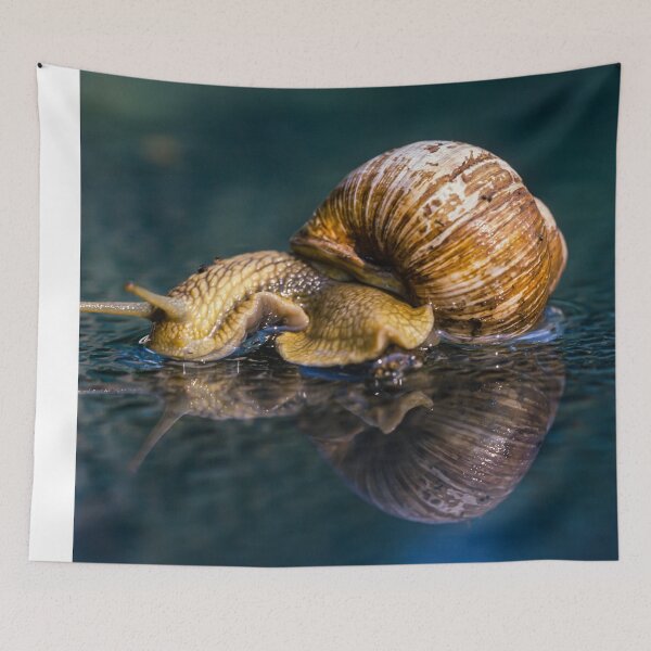 Item preview, Snail designed and sold by Ingo Gerlach.