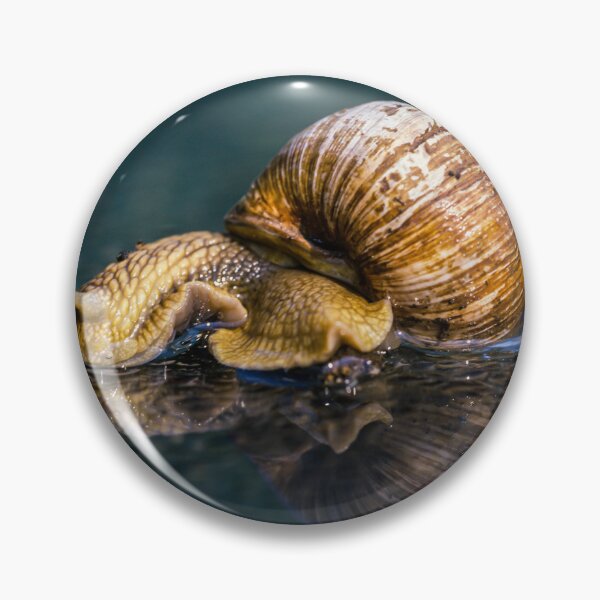 Item preview, Snail designed and sold by Ingo Gerlach.