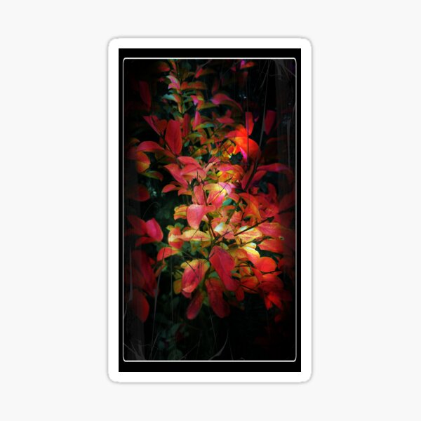 Item preview, Autumn Colors  designed and sold by Nathan Bargar.