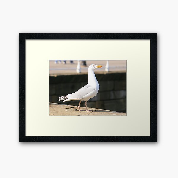Proud Framed Art Print