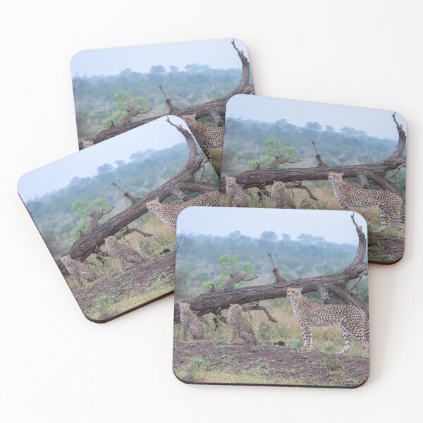 Item preview, A beautiful cheetah mother and her two cubs - Photographed in the Kruger National Park, South Africa designed and sold by Marlienart.