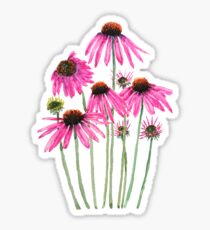 pink purple coneflower watercolor Sticker