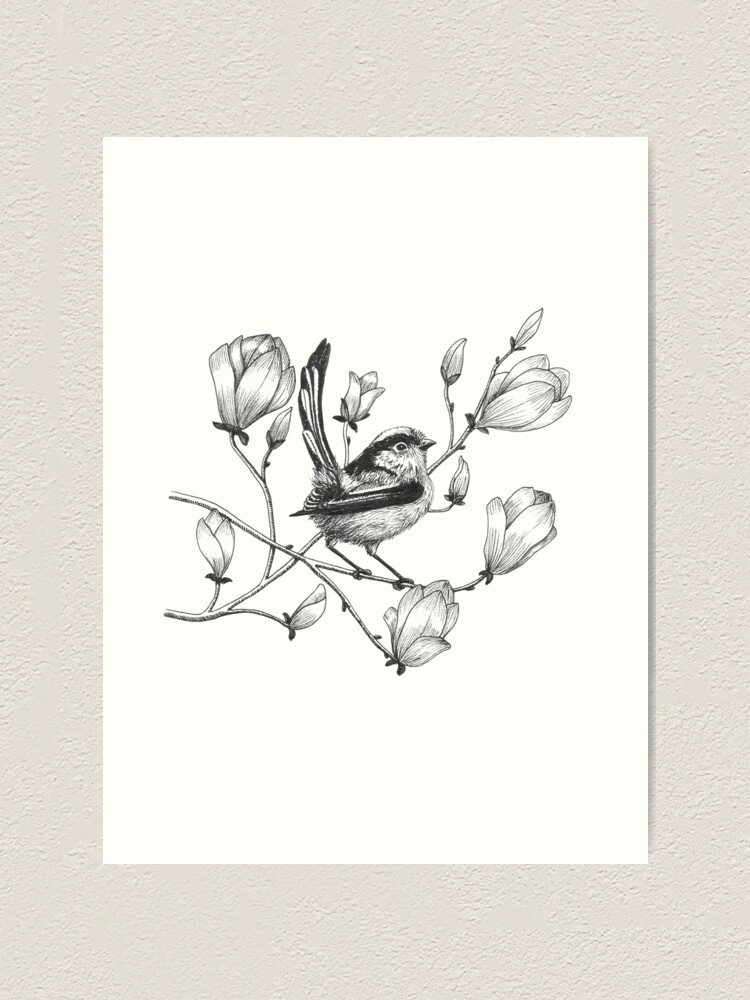 Long Tailed Tit On Magnolia Tree Art Print By Ellenlambrichts Redbubble