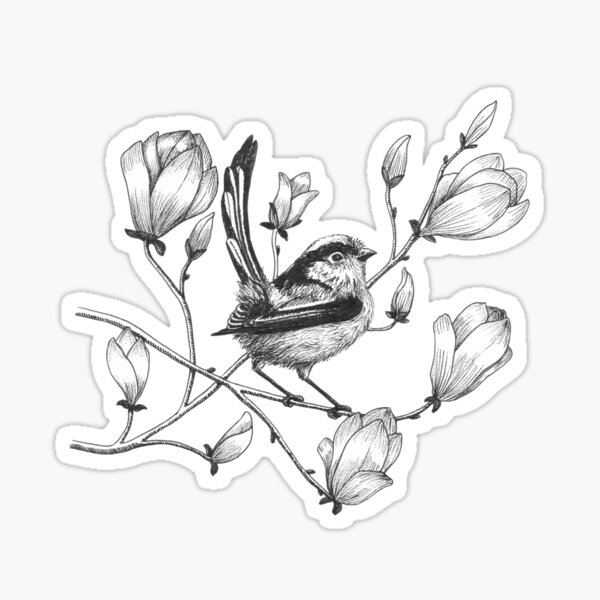 long tailed tit on magnolia tree Sticker