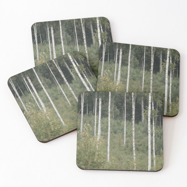 Item preview, Birch Trees in Green Forest | Nature Finland designed and sold by PhotosByVille.