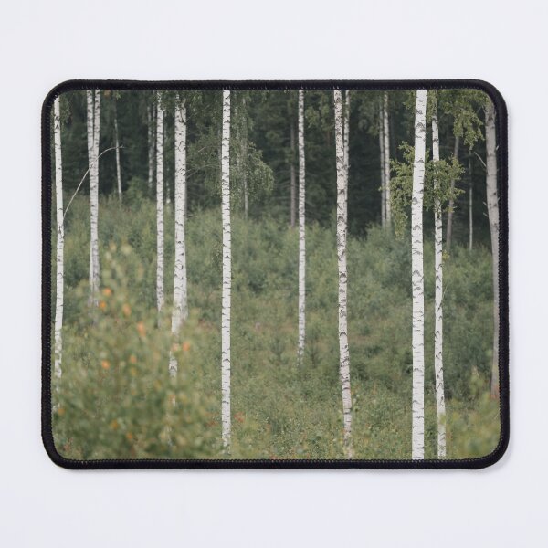 Item preview, Birch Trees in Green Forest | Nature Finland designed and sold by PhotosByVille.