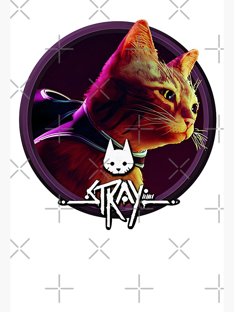 THE CUTEST CAT GAME (Stray) 