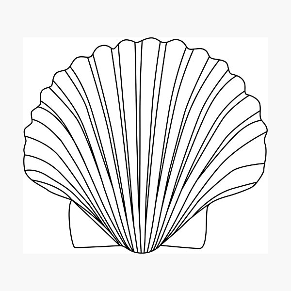 Item preview, Black Clam Scallop Seashell designed and sold by MurphyMorganGifts.