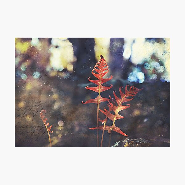 Botanica Photographic Print
