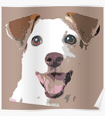 Jack Russell Terrier Poster