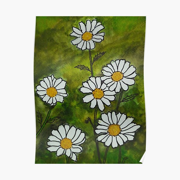 White Daisy Flowers Poster
