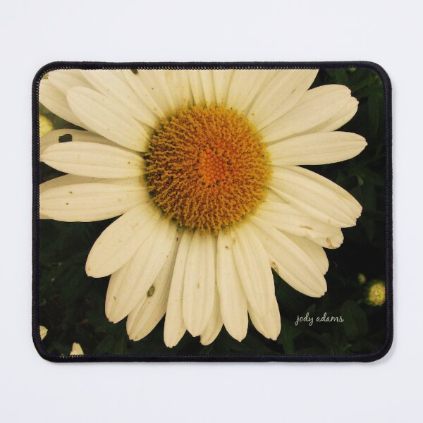 Item preview, Daisies designed and sold by PicsbyJody.