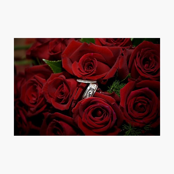 Item preview, Roses are red... designed and sold by Sue Wilson (Kane).