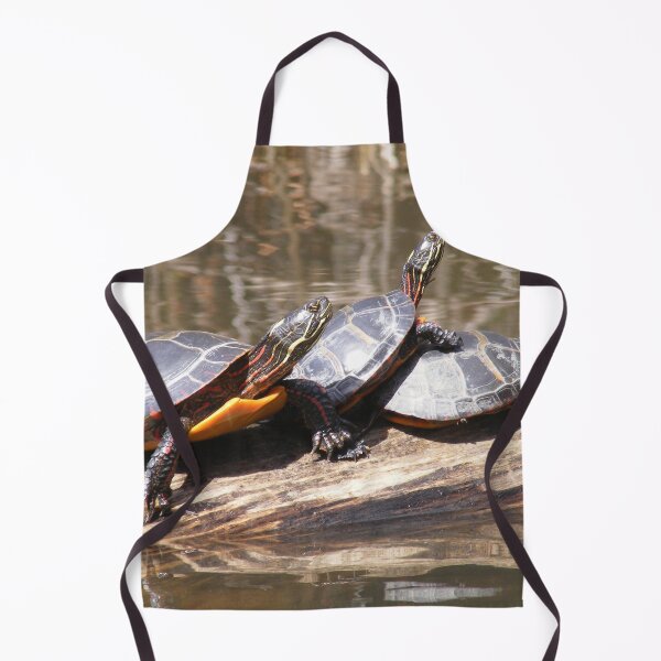 Item preview, Pond Turtles designed and sold by imphavok.