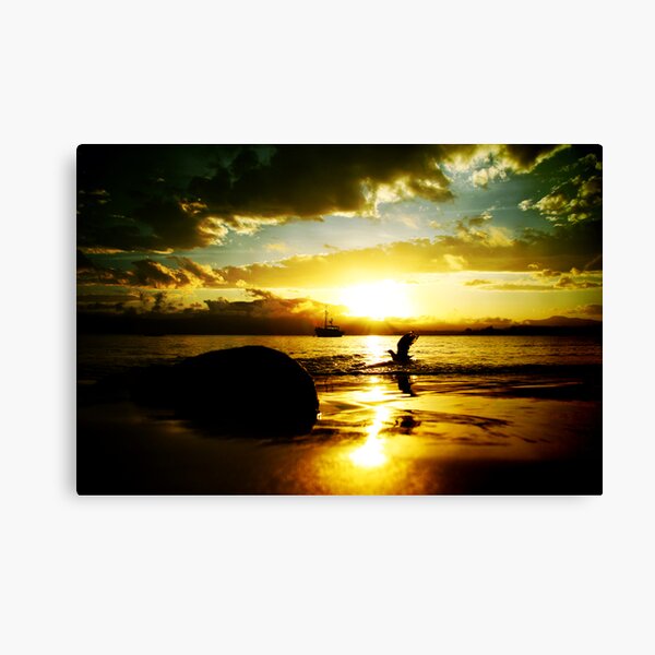 Winging It Canvas Print