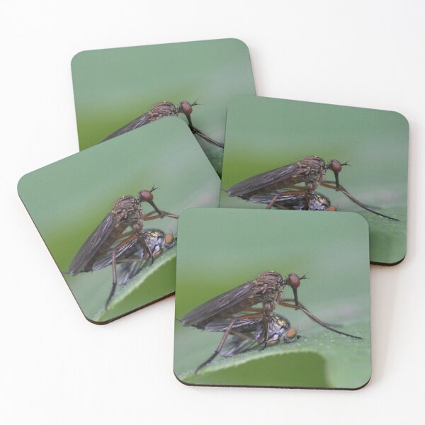 Item preview, Nature's cruel beauty designed and sold by cuprum.