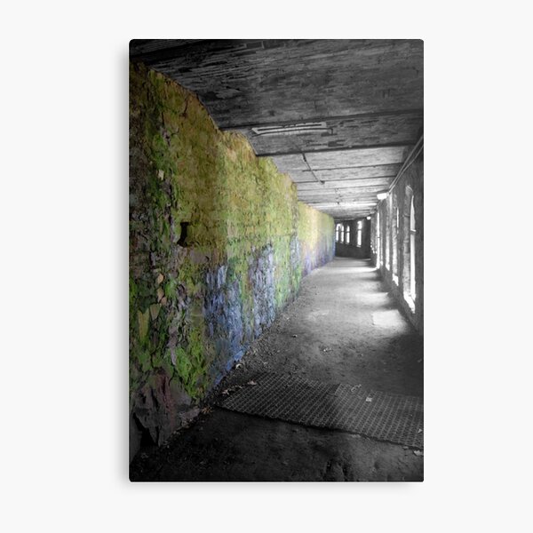 The Guiding Light Metal Print