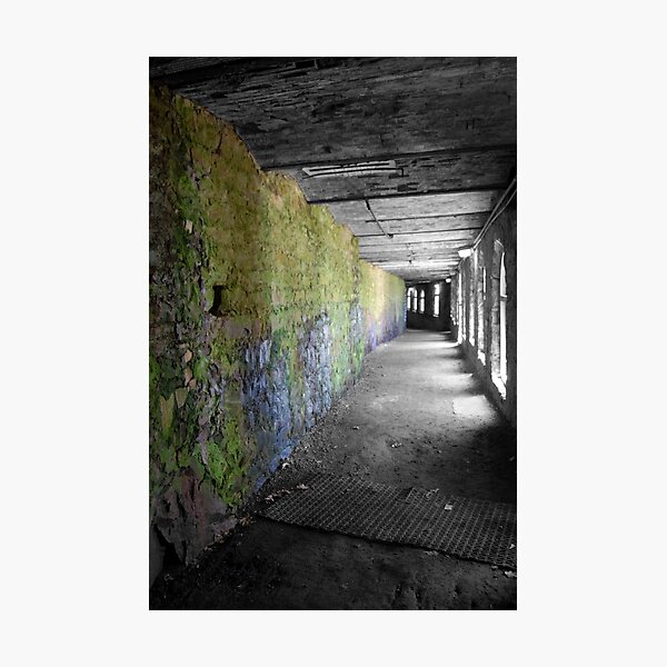 The Guiding Light Photographic Print