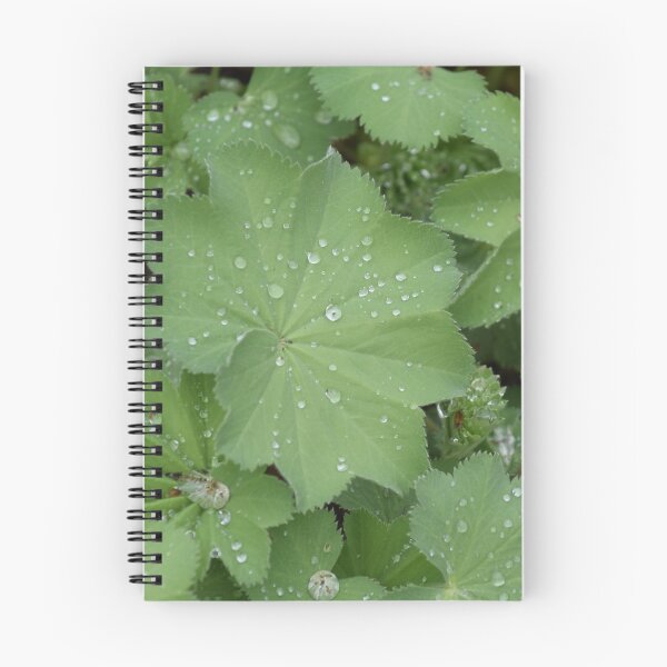 Item preview, Dew on Leaves designed and sold by MontanaWolves21.