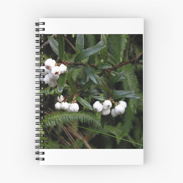 Item preview, Snowberries, Cradle Mountain, Tasmania, Australia. designed and sold by kaysharp.