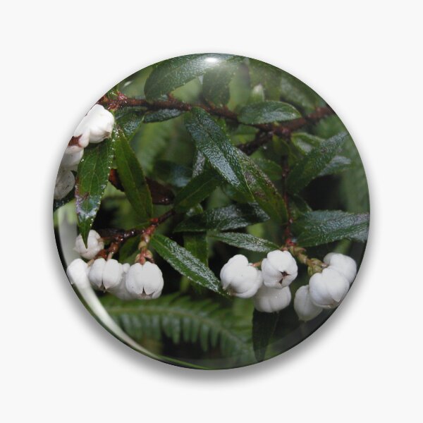 Item preview, Snowberries, Cradle Mountain, Tasmania, Australia. designed and sold by kaysharp.