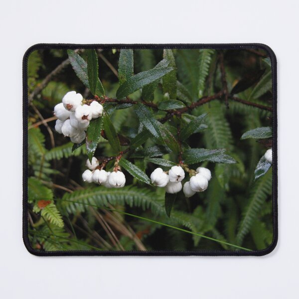 Item preview, Snowberries, Cradle Mountain, Tasmania, Australia. designed and sold by kaysharp.