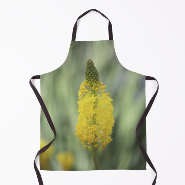 Item preview, Kniphofia - Bright Yellow - Red Hot Poker designed and sold by imaginethis.
