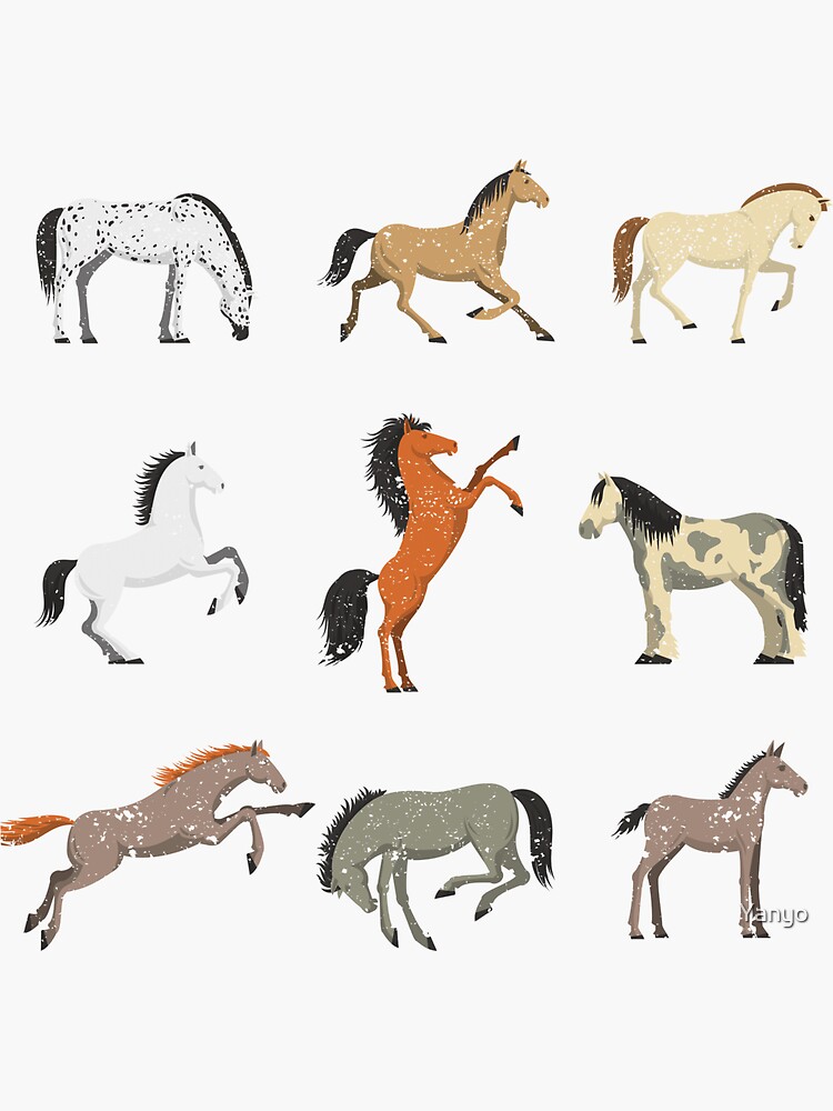 "Horse breeds equestrian sports riding horses lovers" Sticker for Sale