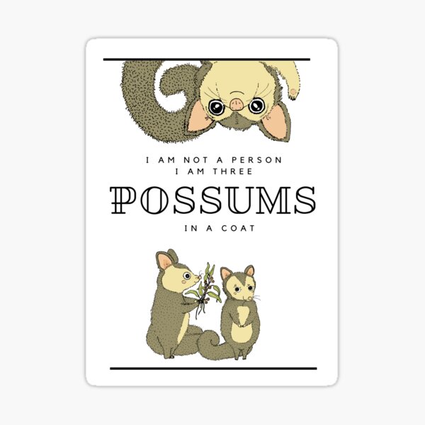 3 Possums In a Coat Sticker